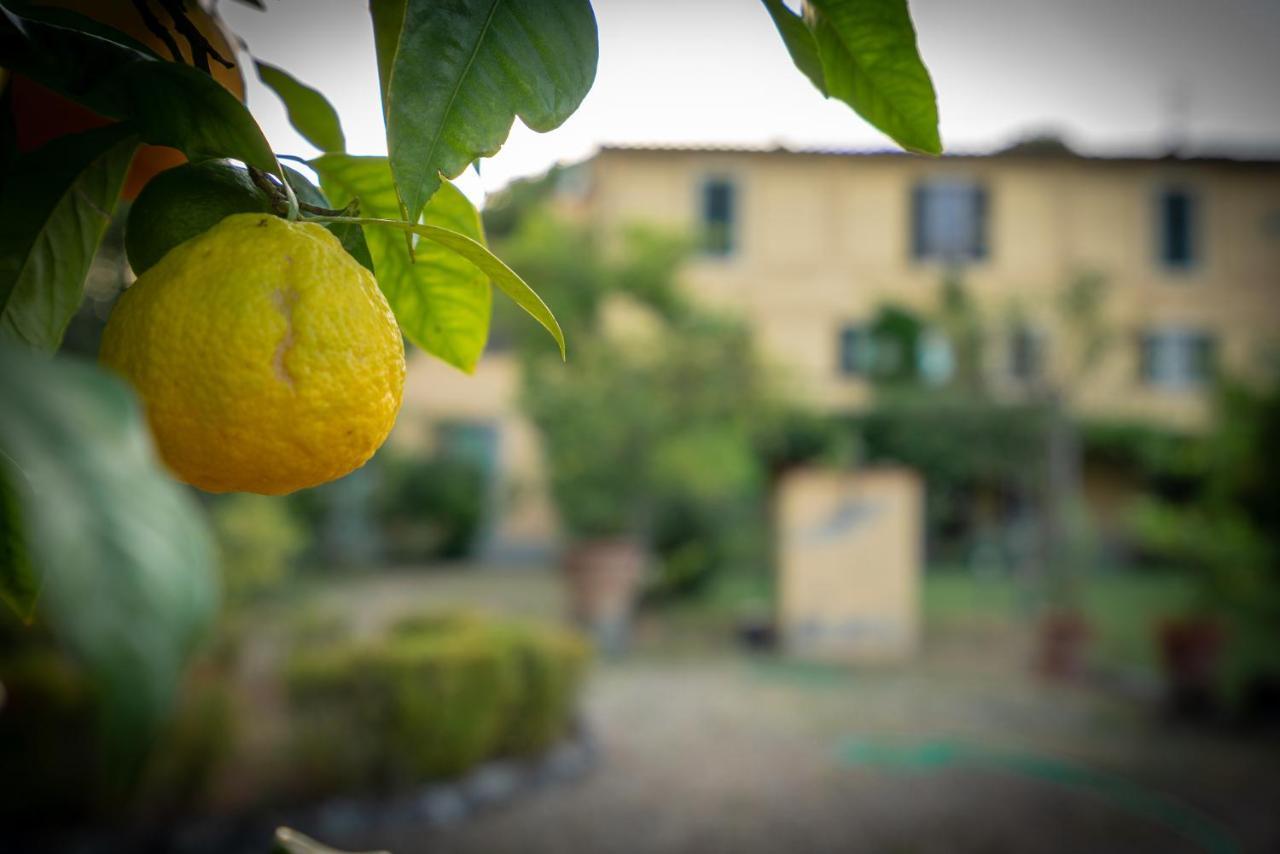 Villa Ape Rosa Relais Florence Exterior photo
